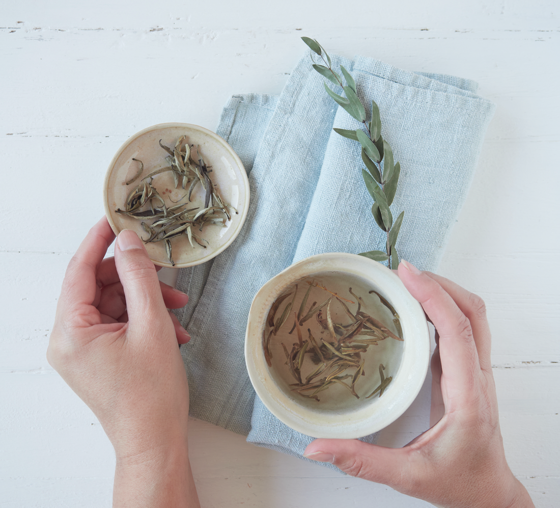 How can you steep the perfect cup of white tea without it turning bitter?