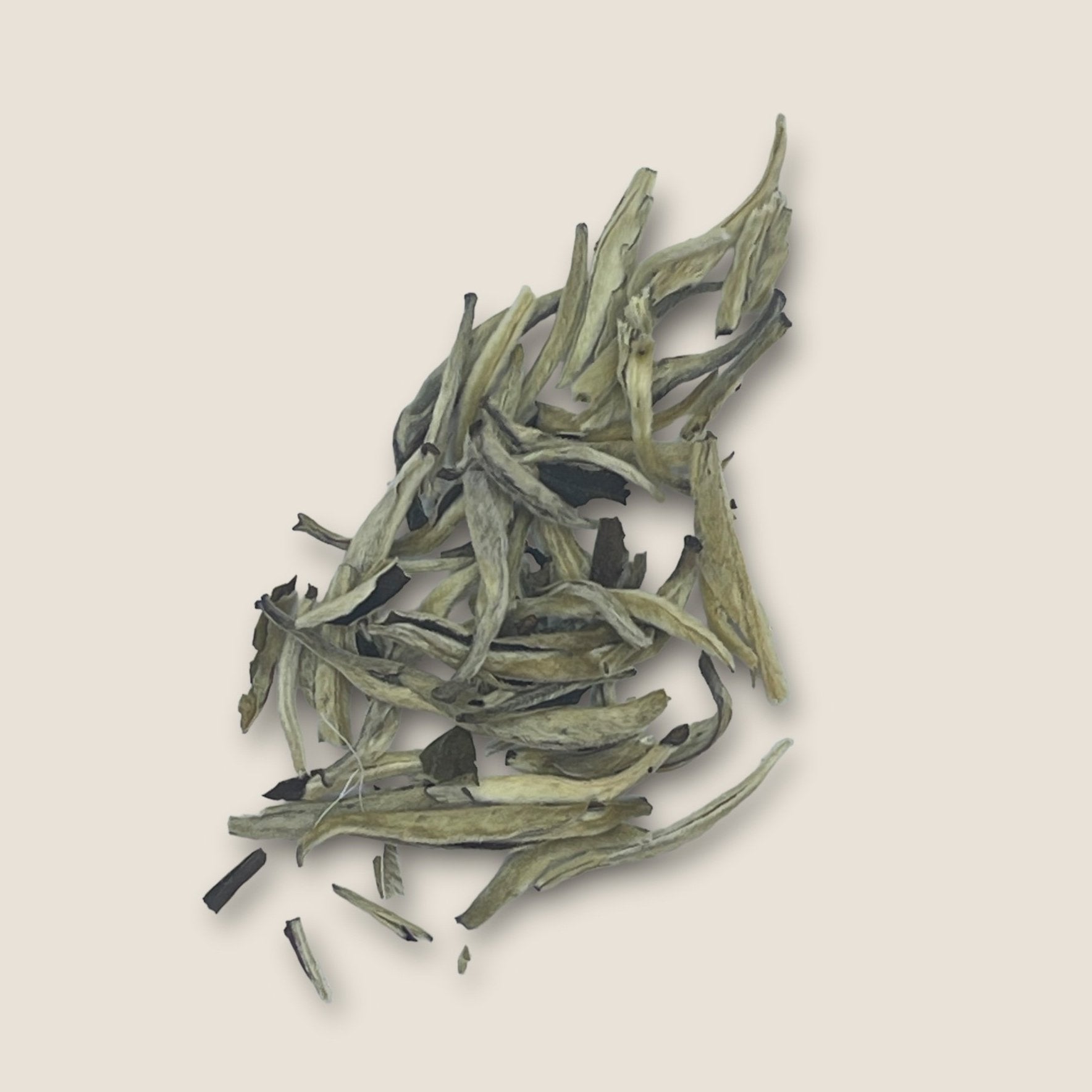 Silver Needle