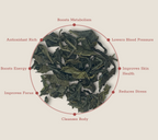 Organic Green Tea