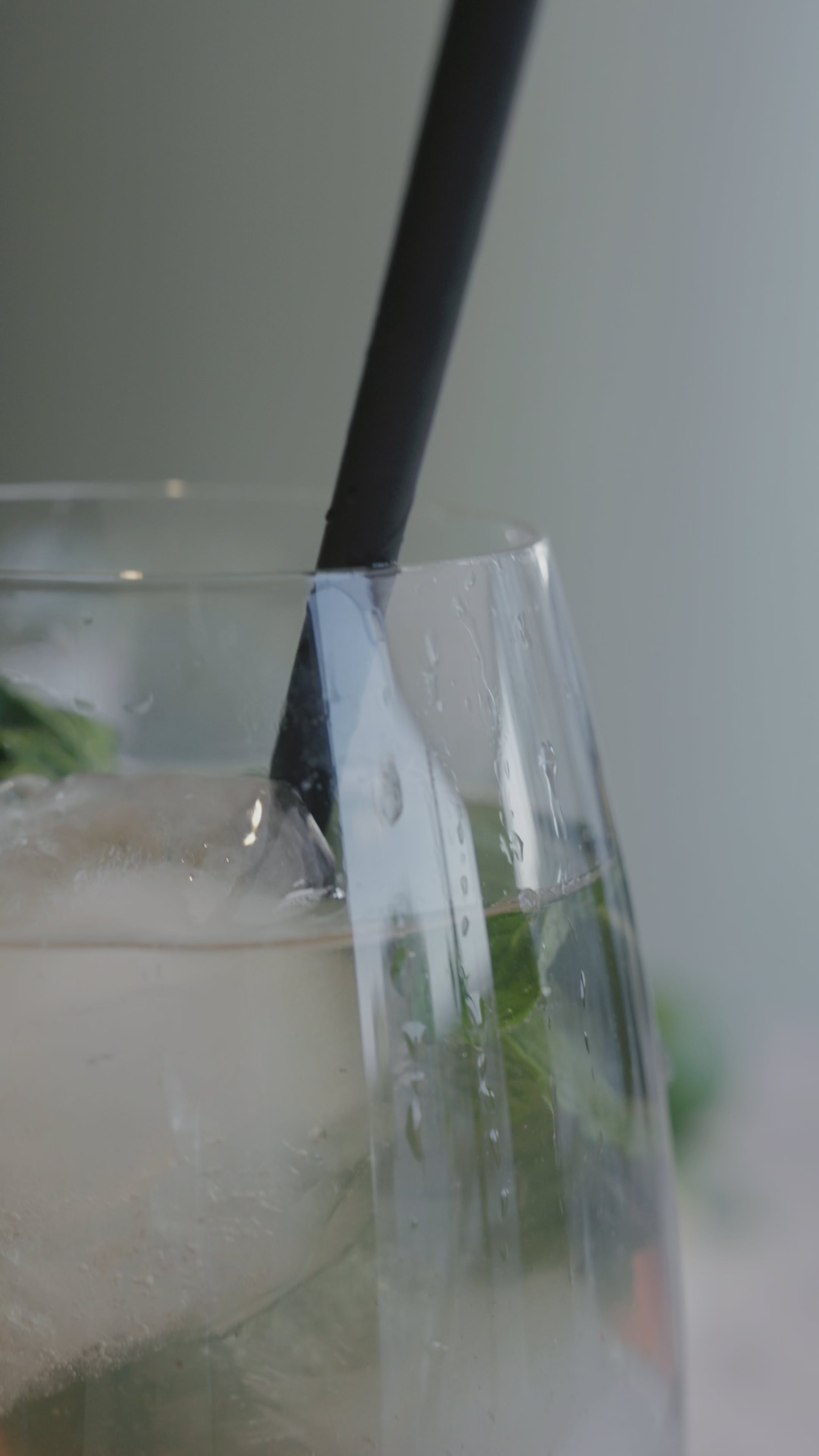 Apple Mojito