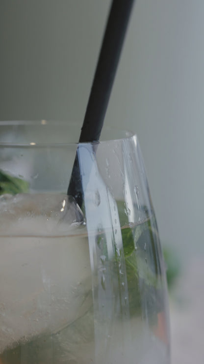 Apple Mojito