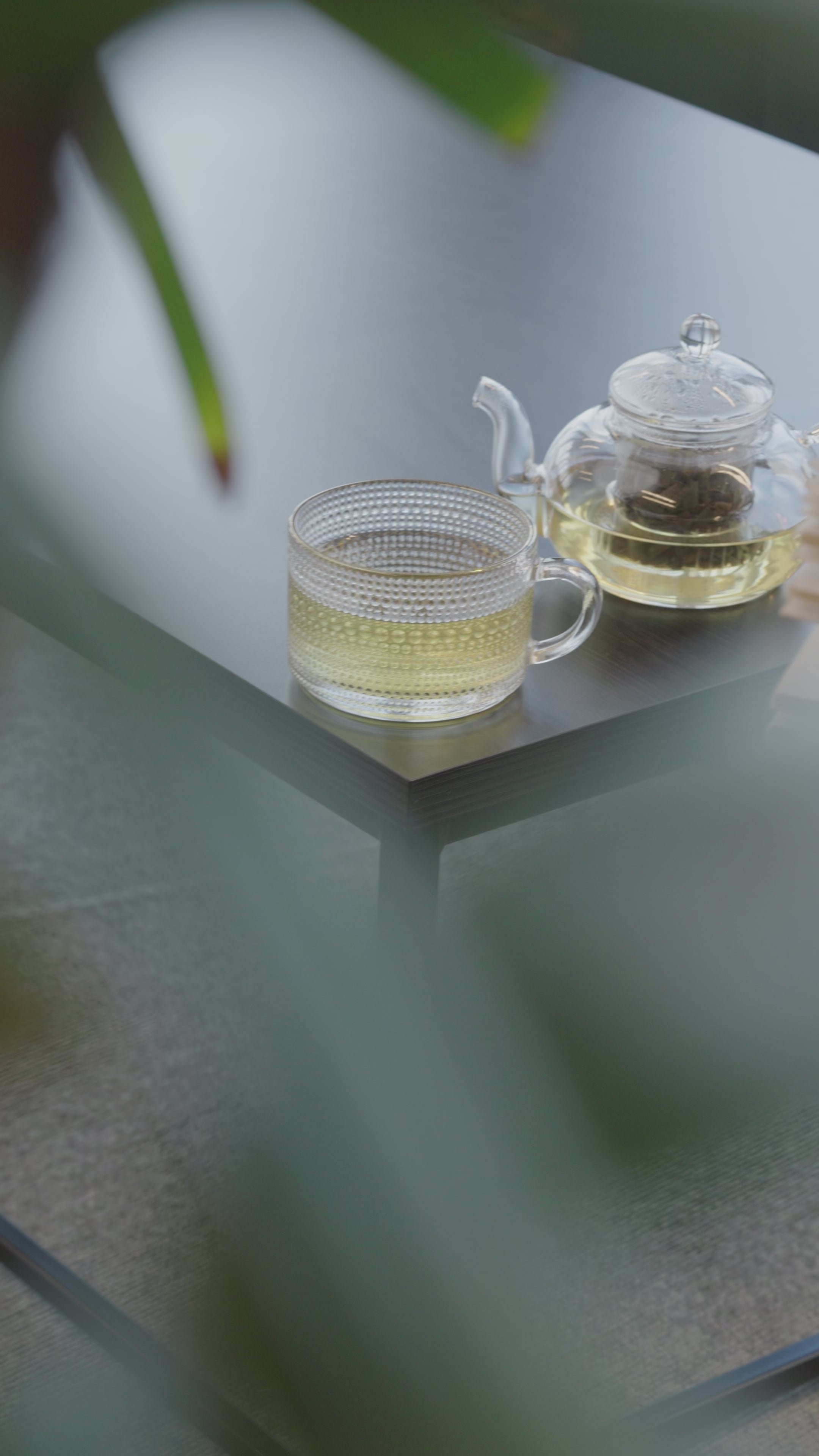 Organic Green Tea
